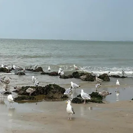 Apartment 3 Bedroom In Heist