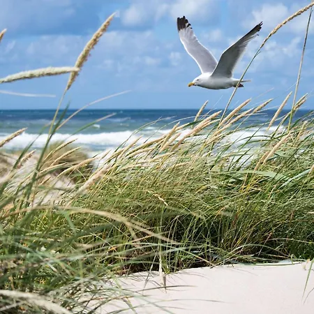 3 Bedroom In Heist Knokke-Heist