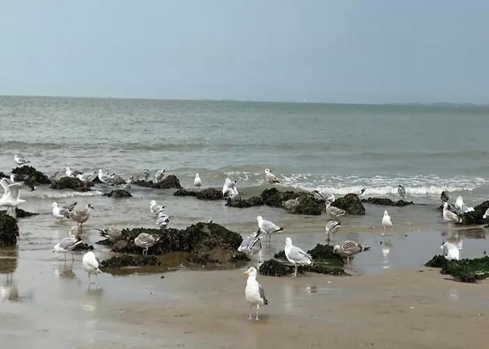 Apartman 3 Bedroom In Heist