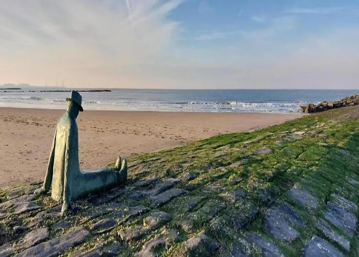 3 Bedroom In Heist *