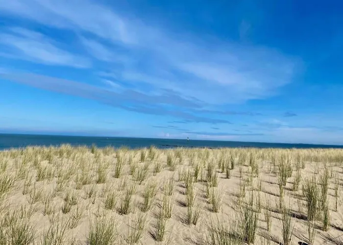 3 Bedroom In Heist * Knokke-Heist